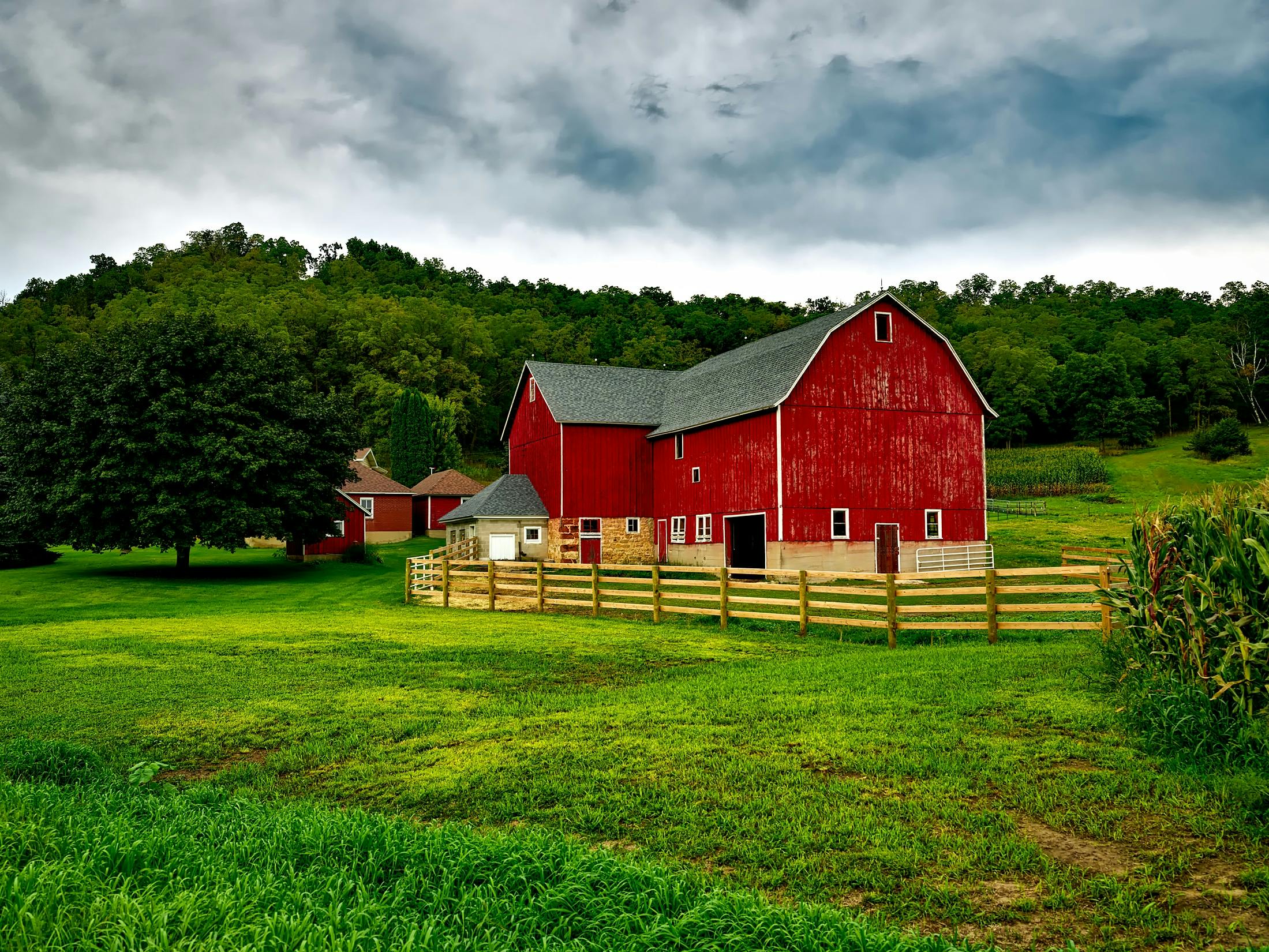 Picture of the Farm