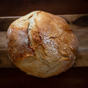 image of food